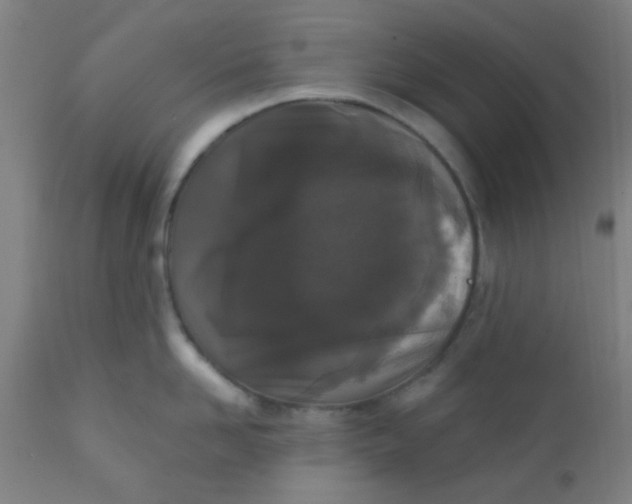 X0000110720958200907022043