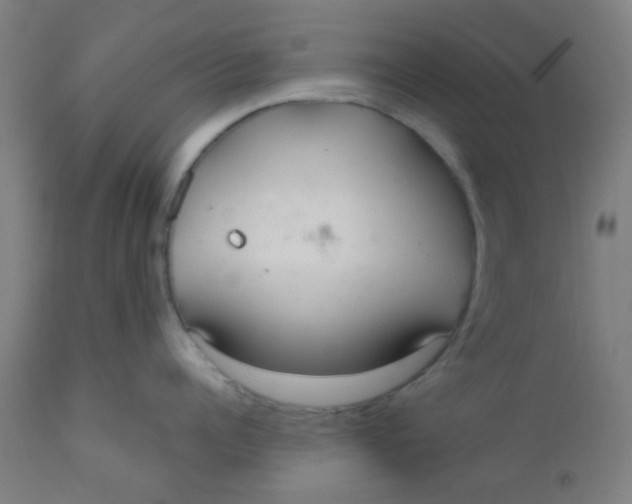 X0000110720960200907022043