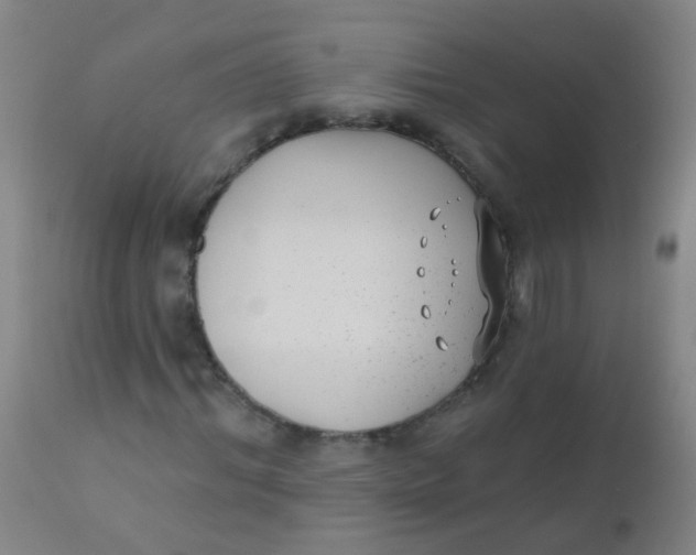 X0000110720964200907022042