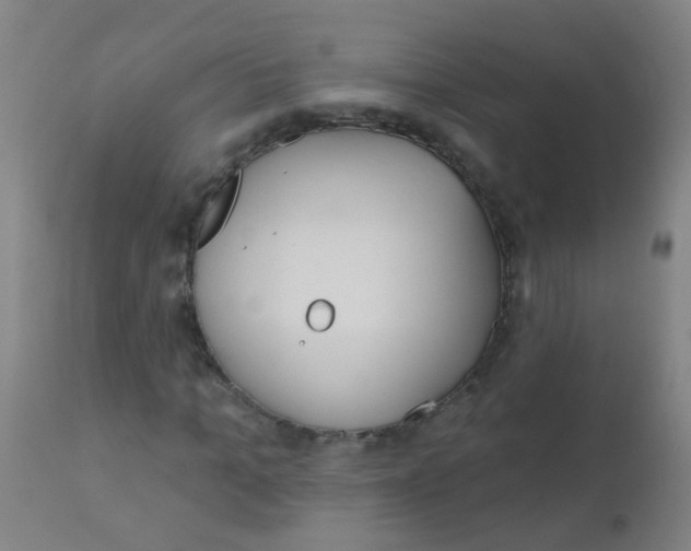 X0000110720965200907022042