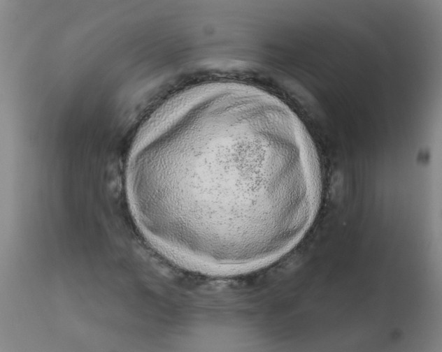 X0000110720966200907022042