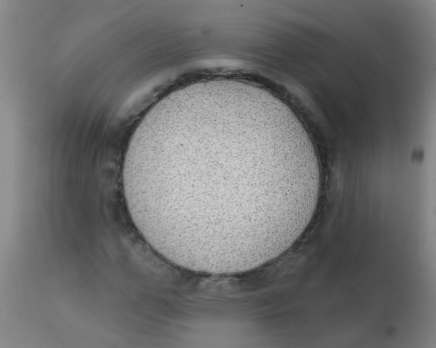 X0000110720967200907022042