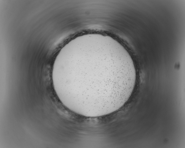 X0000110720968200907022042