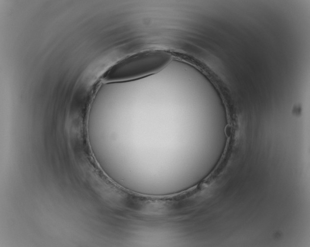 X0000110720969200907022042