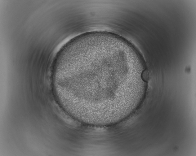 X0000110720975200907022042