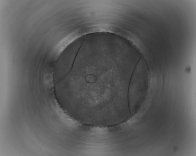 X0000110720977200907022042