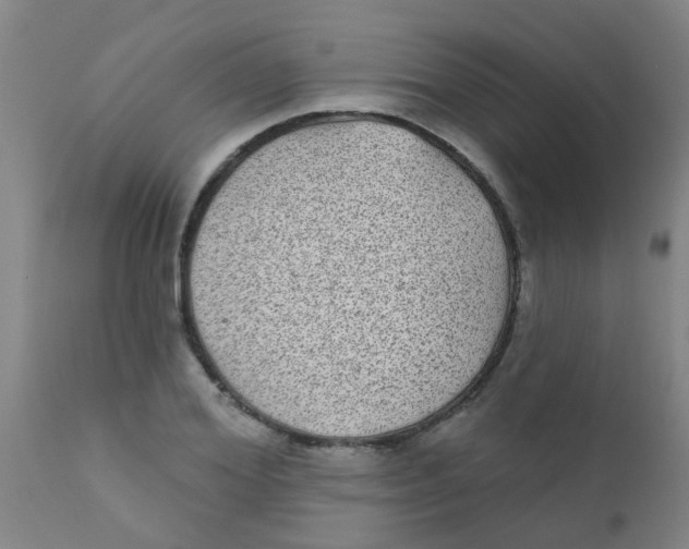 X0000110720980200907022042