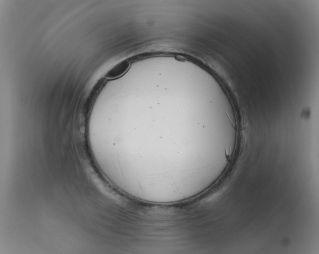 X0000110720981200907022042