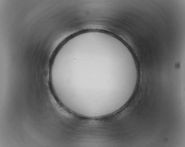 X0000110720984200907022042