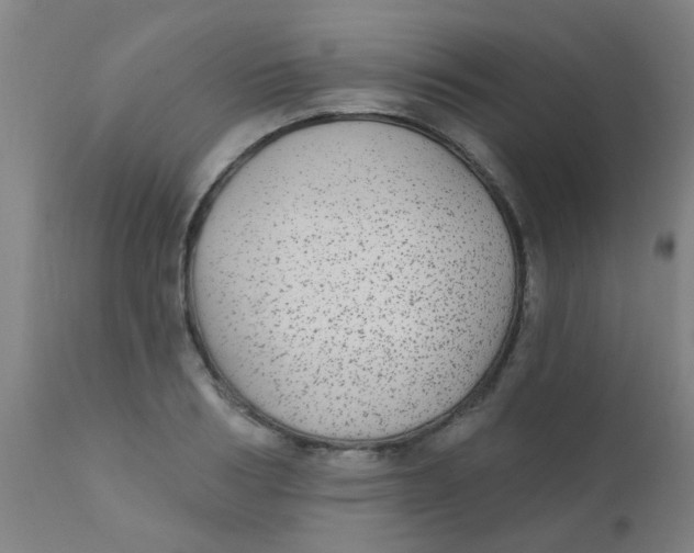 X0000110720986200907022042