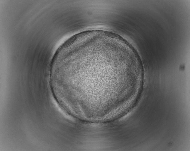 X0000110720989200907022042