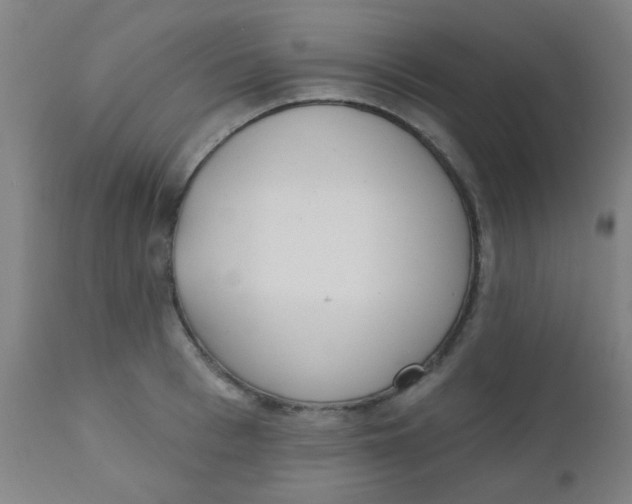 X0000110720993200907022042