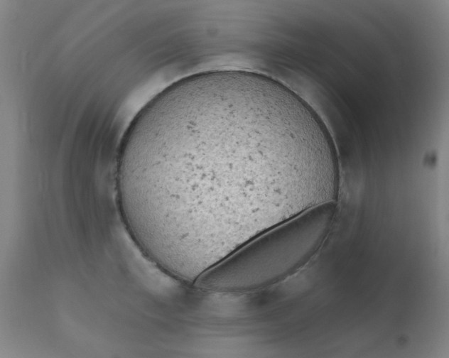 X0000110720997200907022042