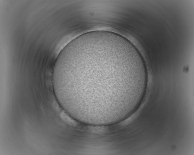 X0000110721001200907022042