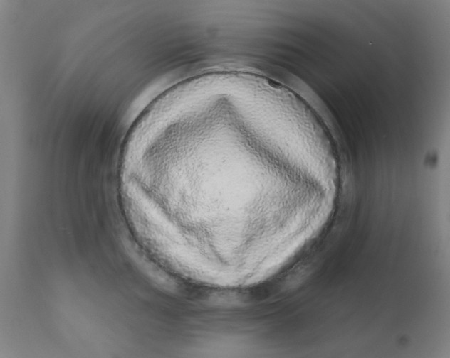 X0000110721002200907022042