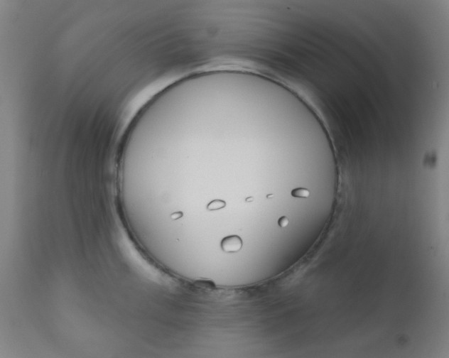 X0000110721003200907022041