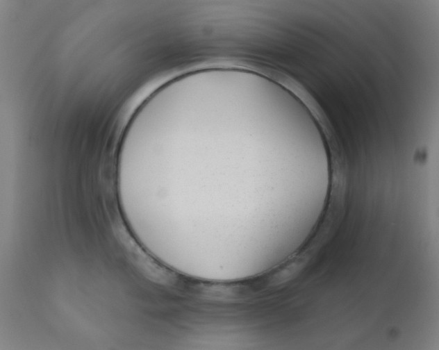 X0000110721004200907022041