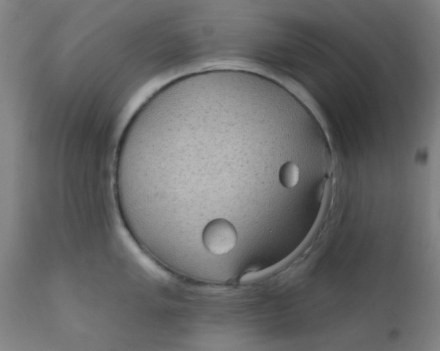 X0000110721005200907022041