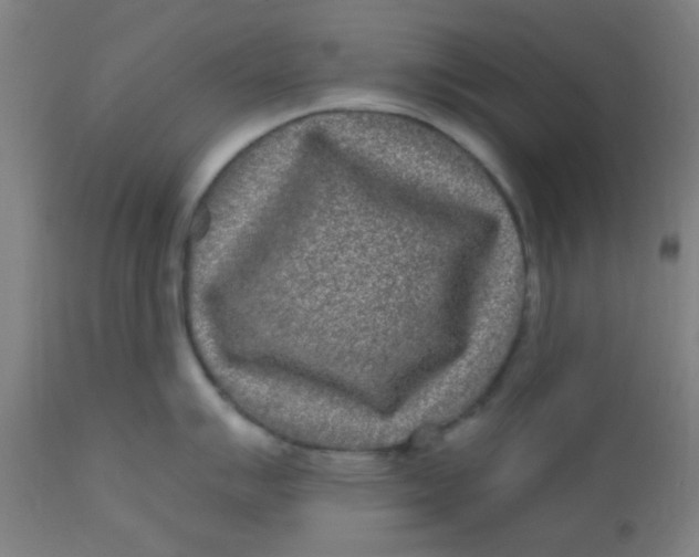 X0000110721007200907022041