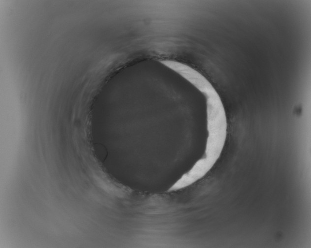 X0000110721009200907022041