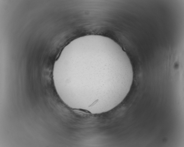 X0000110721010200907022041