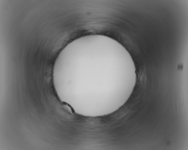 X0000110721012200907022041