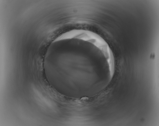 X0000110721013200907022041