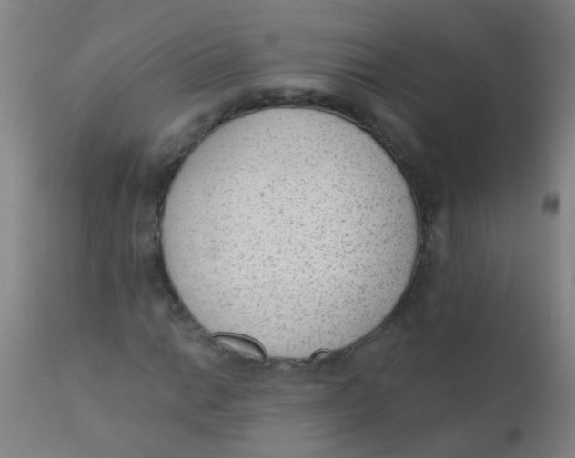 X0000110721014200907022041