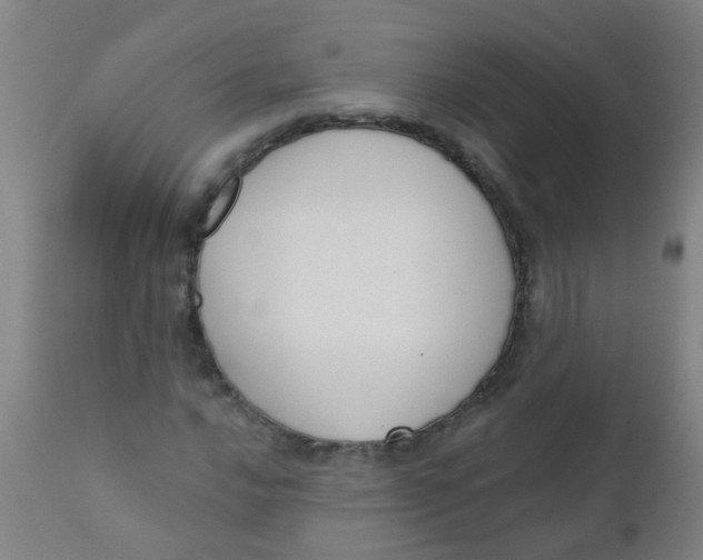 X0000110721016200907022041