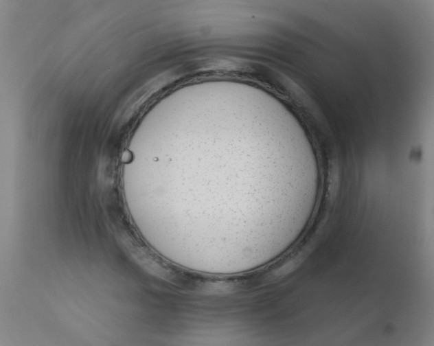 X0000110721017200907022041