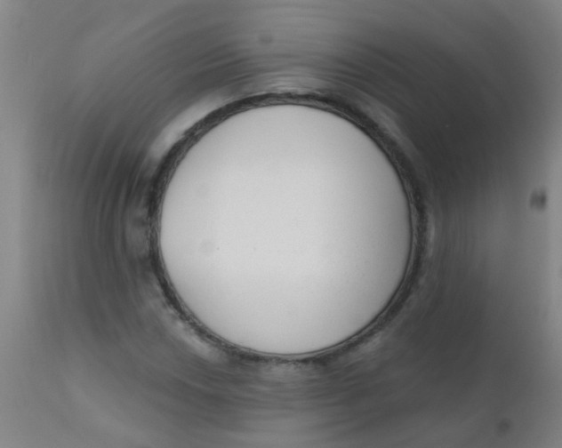 X0000110721018200907022041