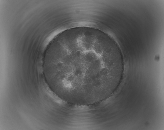 X0000110721019200907022041