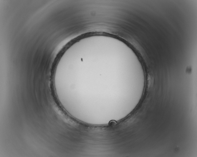 X0000110721020200907022041