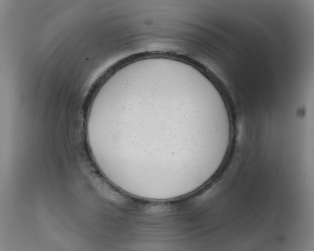 X0000110721021200907022041