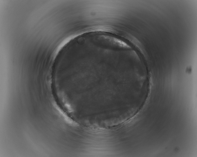 X0000110721024200907022041