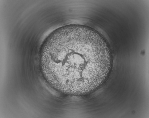 X0000110721027200907022041