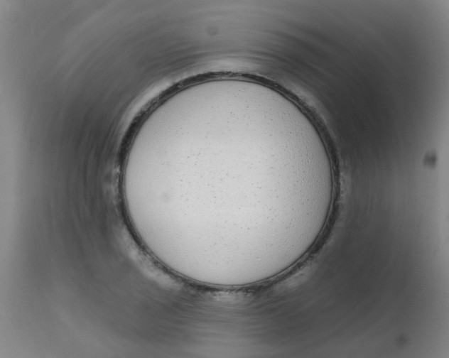 X0000110721029200907022041