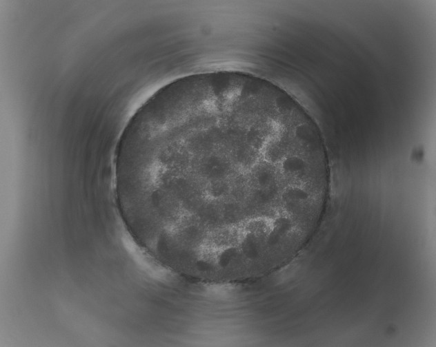 X0000110721031200907022041