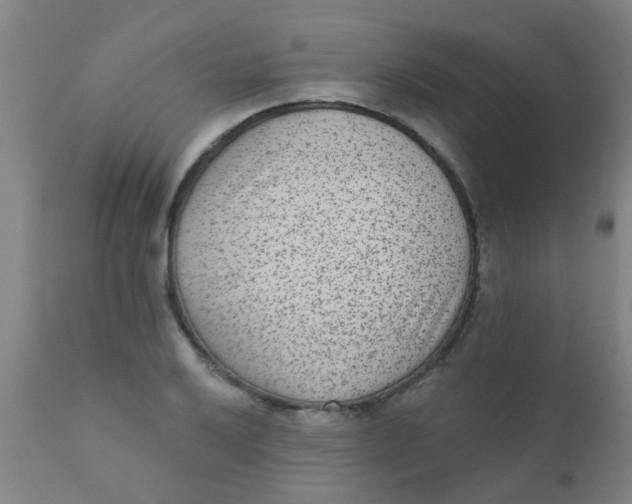 X0000110721032200907022041