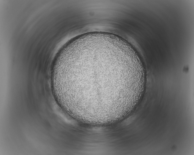 X0000110721035200907022041