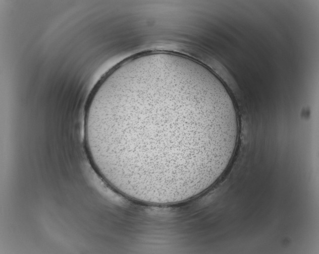 X0000110721036200907022041