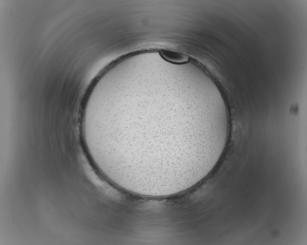 X0000110721038200907022041