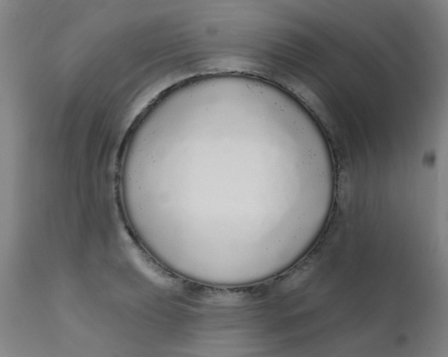 X0000110721039200907022041