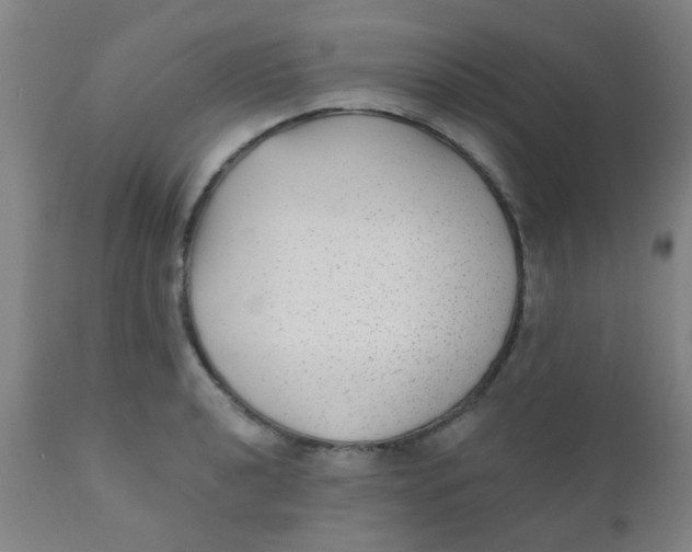 X0000110721040200907022041