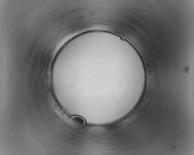 X0000110721044200907022041