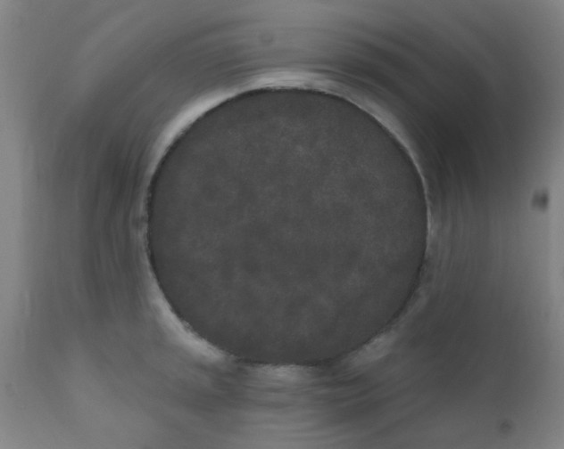 X0000110721045200907022041