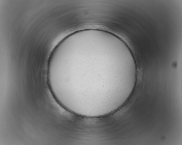 X0000110721046200907022041