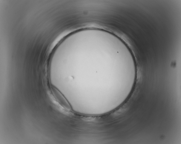 X0000110721048200907022041