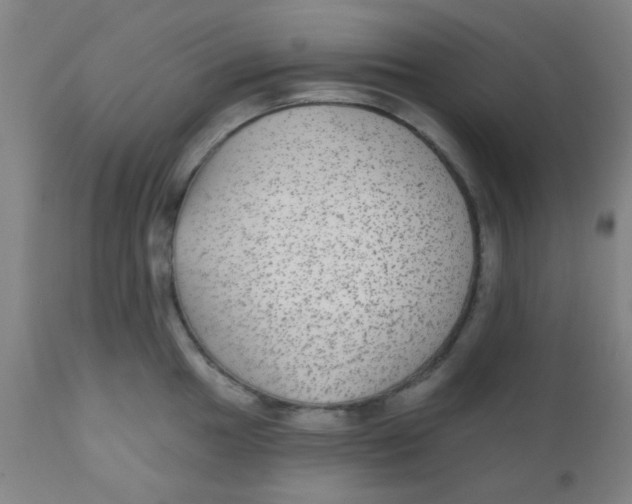 X0000110721049200907022041