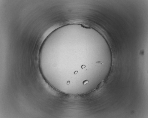 X0000110721050200907022041